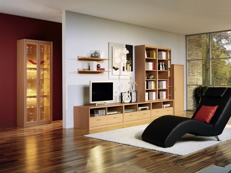 Contemporary Living Room With Chaiselounge And Wood Cabinets
