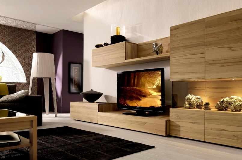 enclosed tv cabinet storage