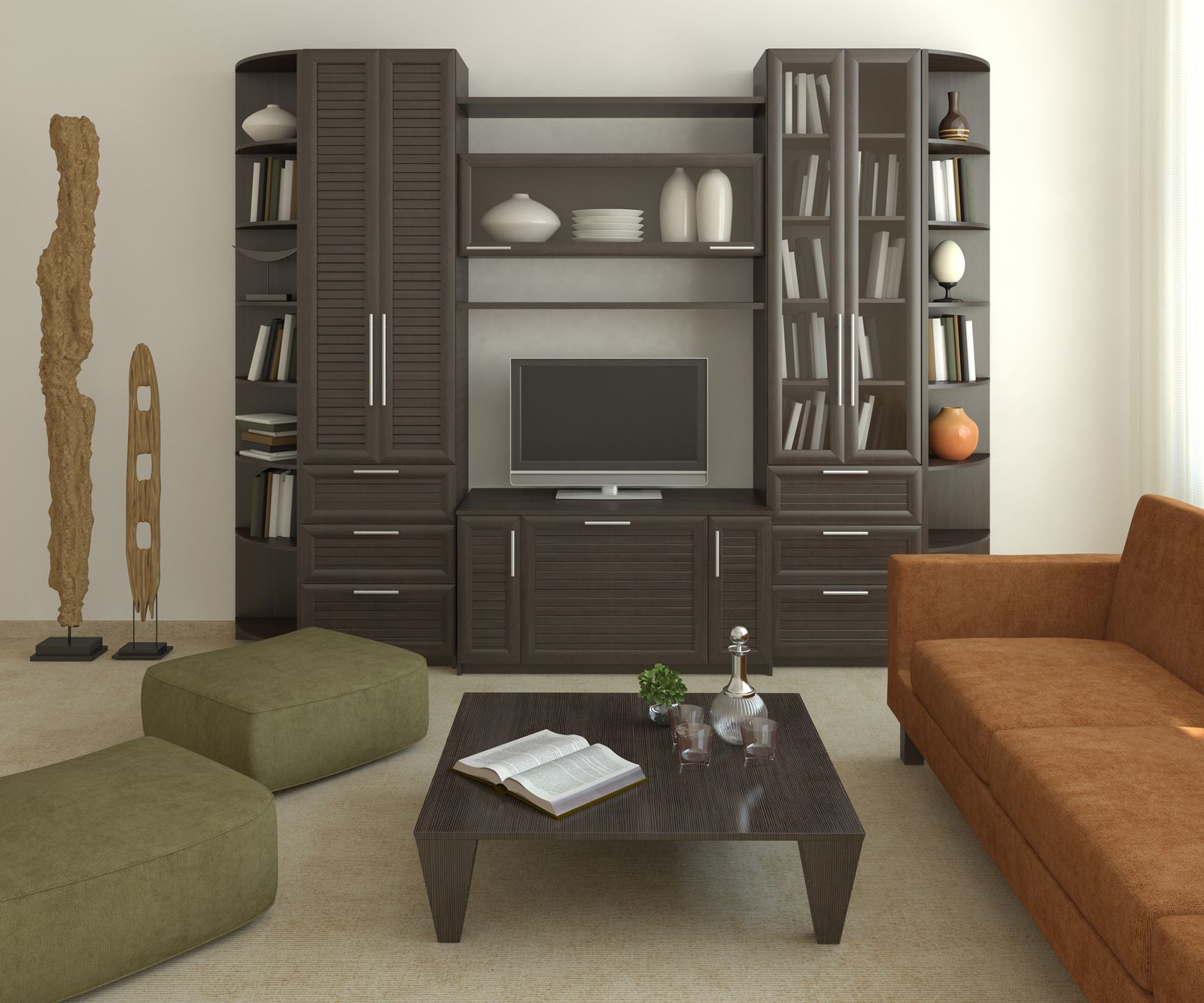 living room bookshelves and cabinets