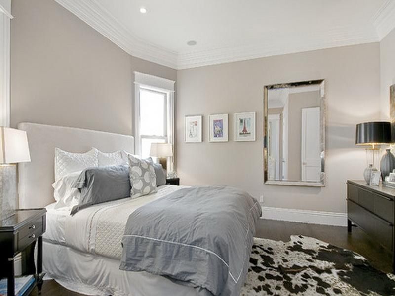 Nice Calming Paint Colors for Neutral Room