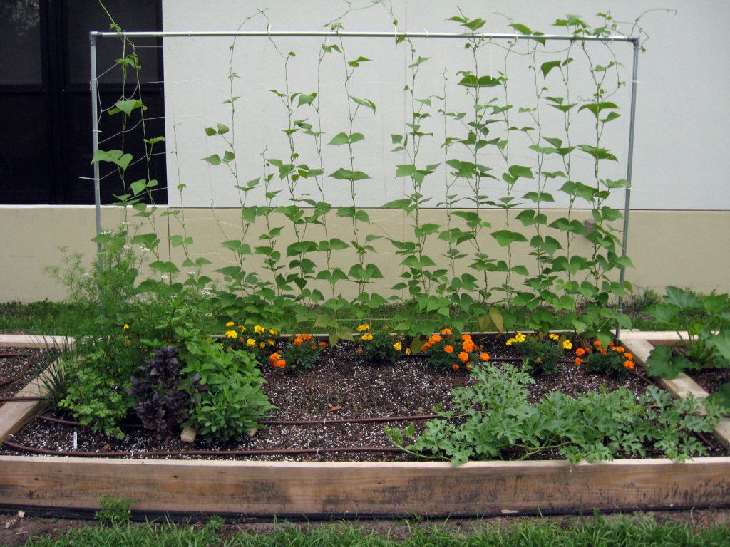 Permanent Marker Vegetable Gardening In A Raised Bed
