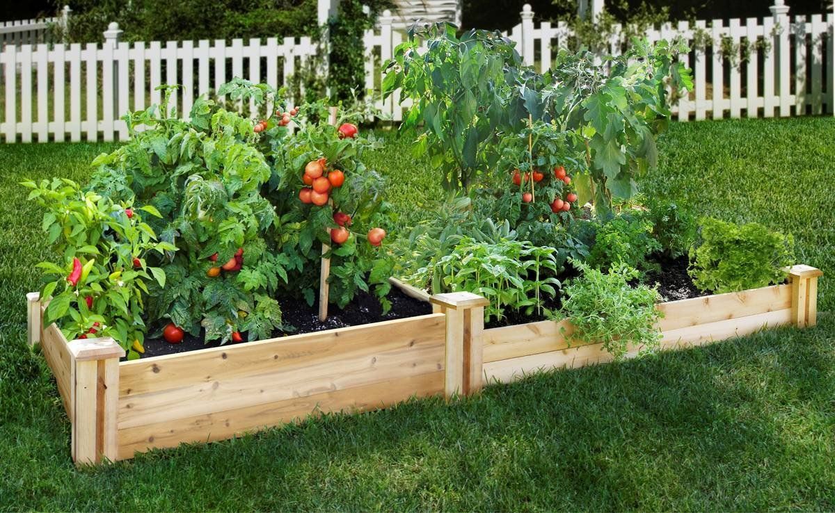 Potting Soil Vegetable Gardening In A Raised Bed