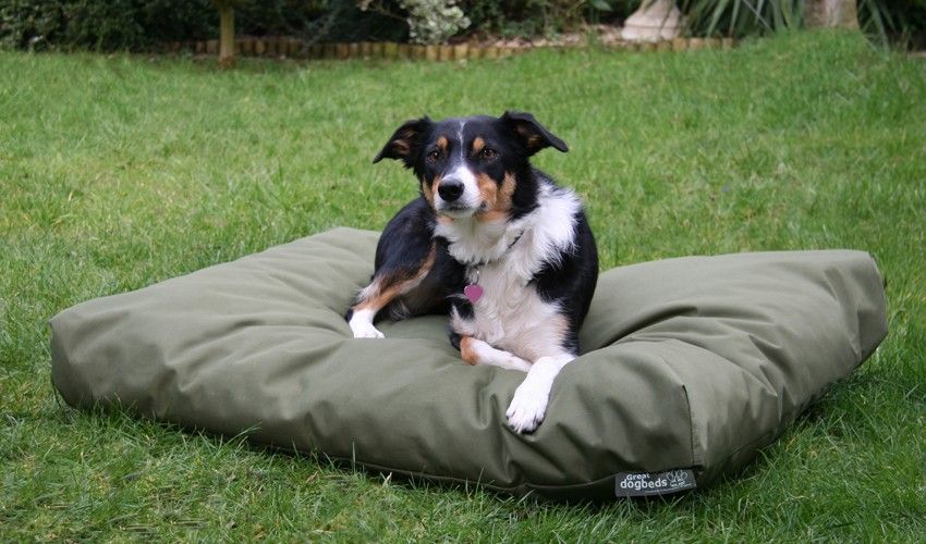 Natural Tips of How to Make a Dog Bed