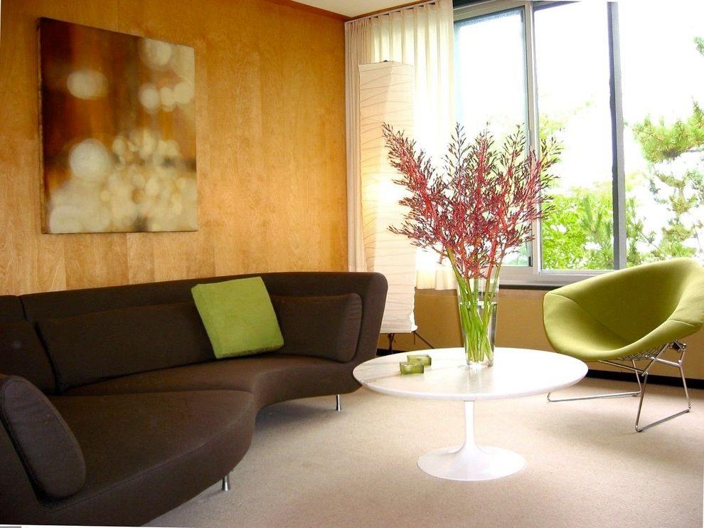 Contemporary Sofas Choices for Living Room