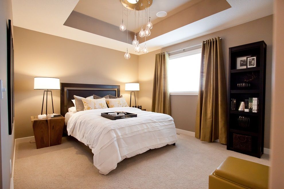 Brown Modern Bedroom Interior Color