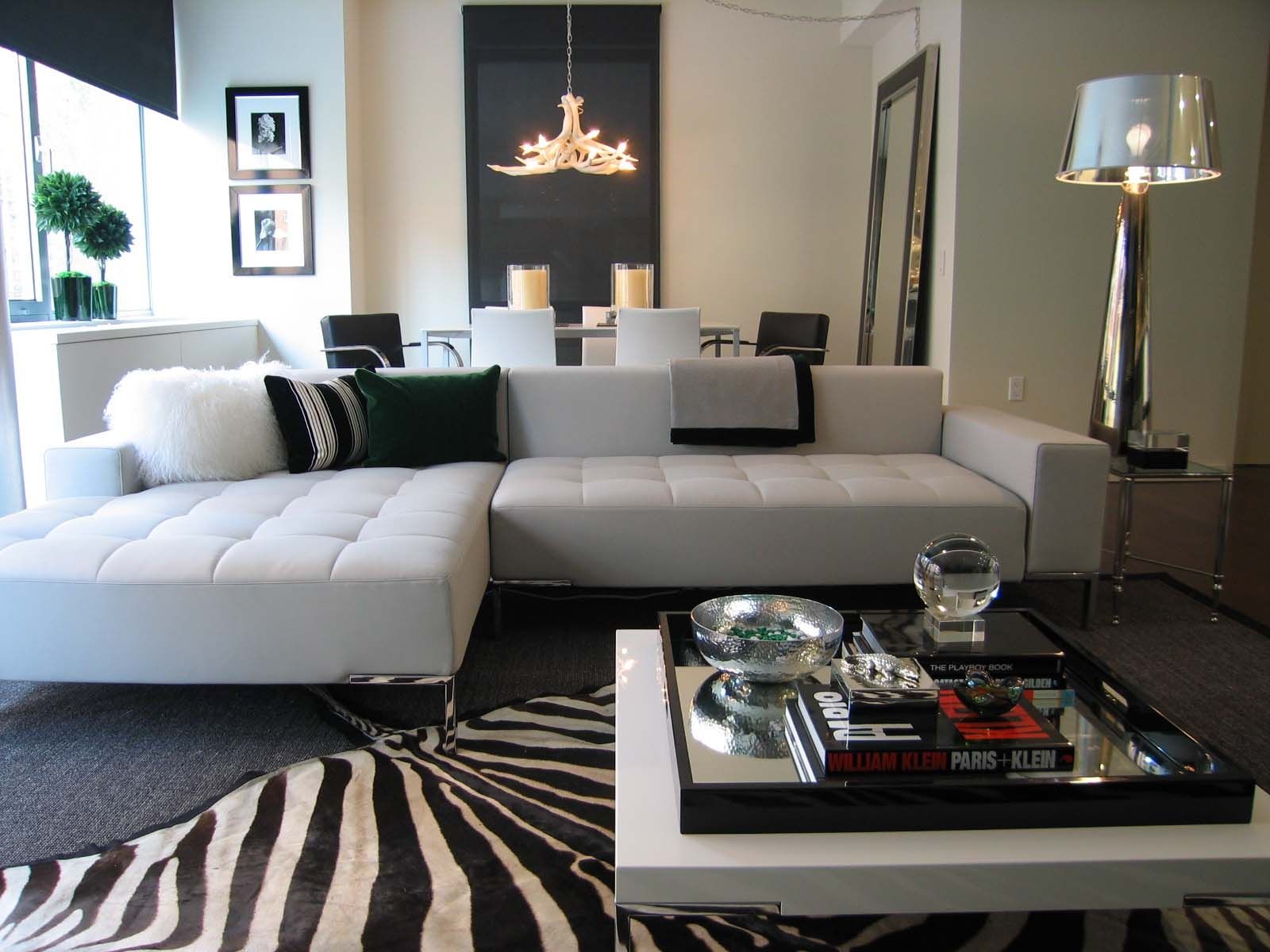 Modern Living Room with Zebra Carpet