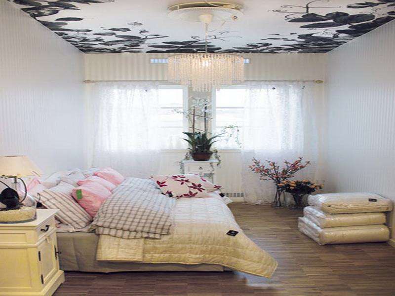 Luxury Ceiling Paint Ideas (Photo 2 of 10)