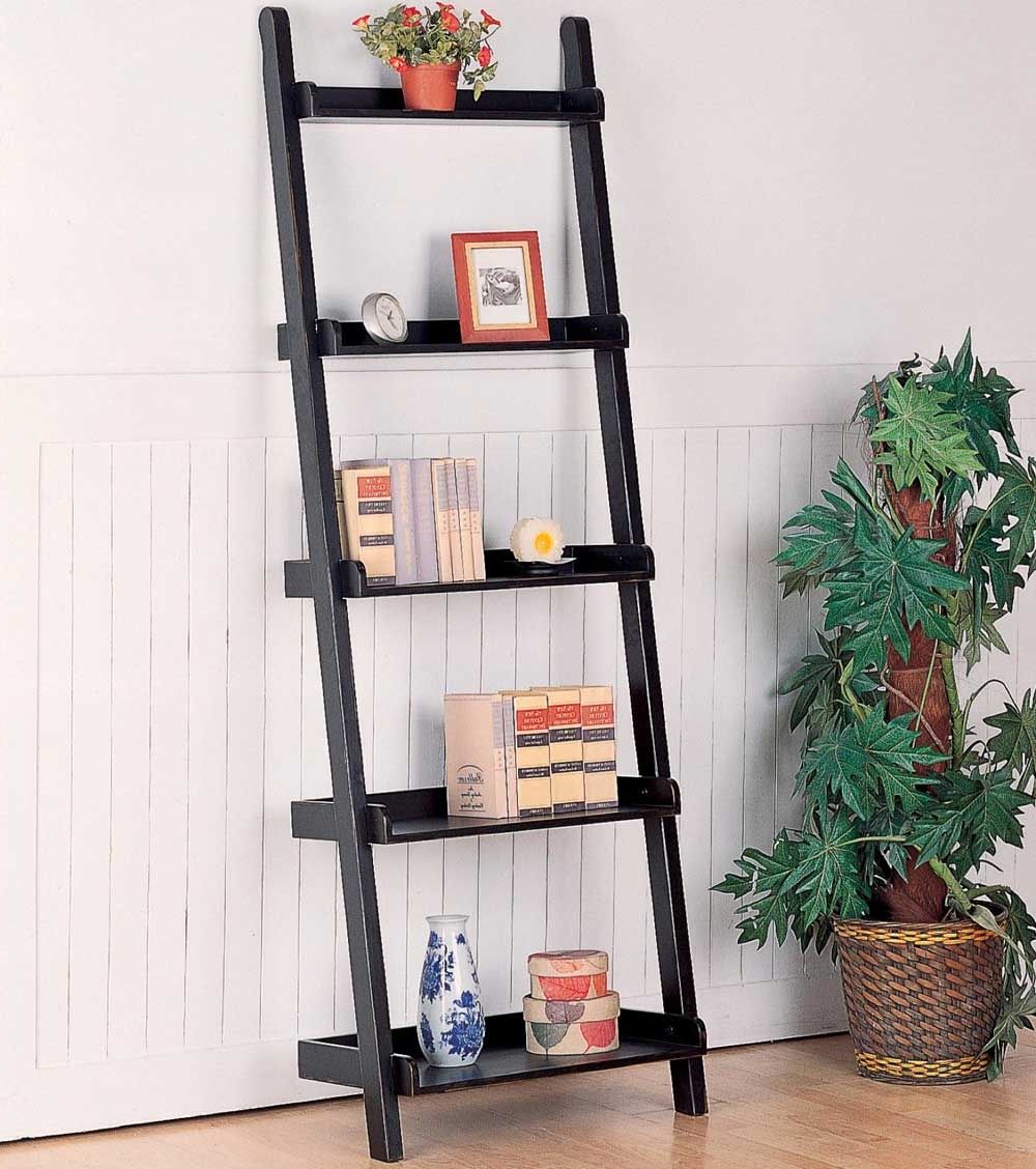 Natural Plant Decorating Idea With Black Ladder Bookshelves Also White Beadboard Plus Laminate Floor Idea (Photo 2411 of 7825)
