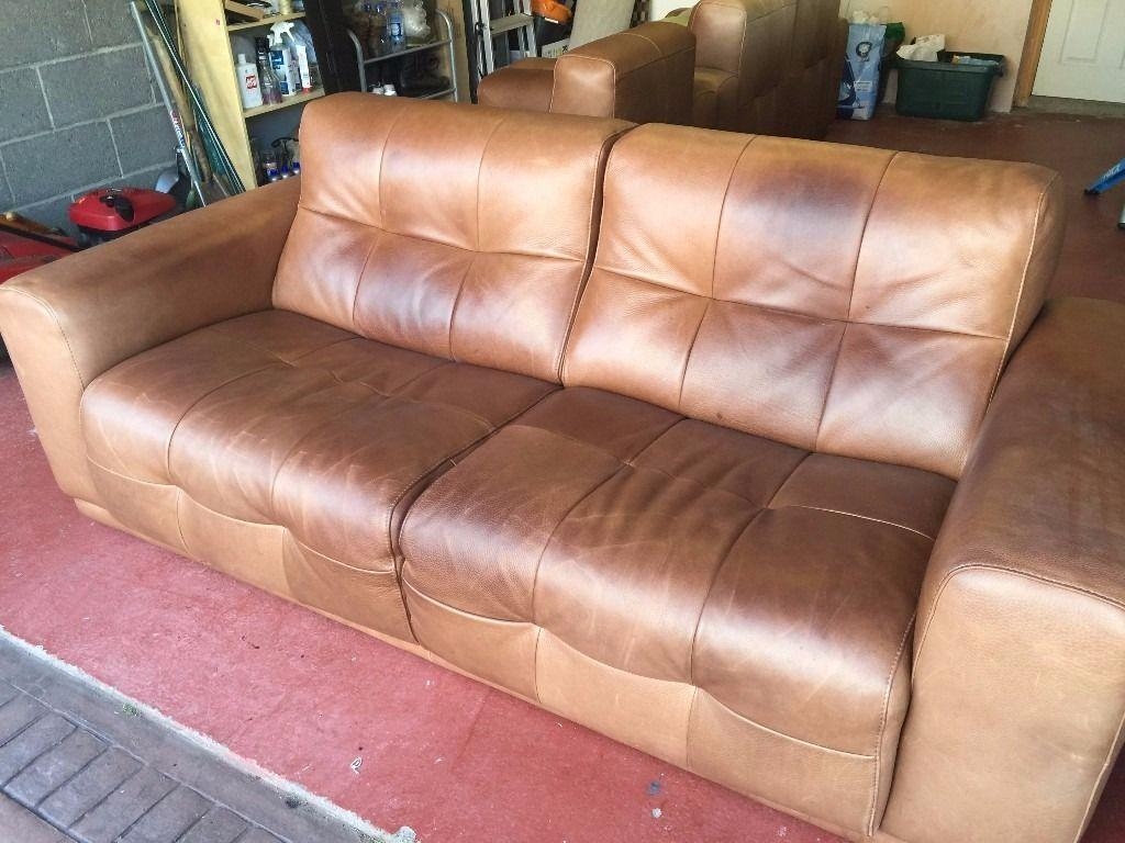 Featured Photo of Top 20 of Aniline Leather Sofas