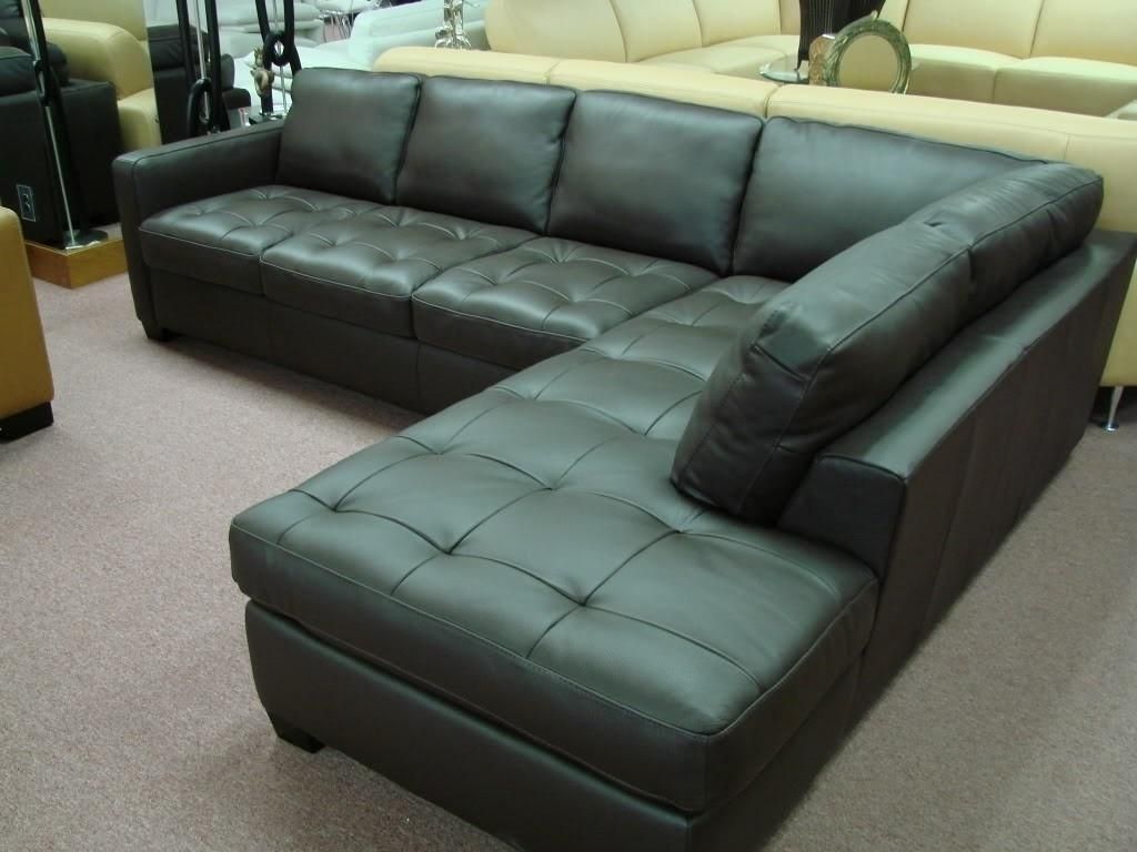 Amazing Of Natuzzi Sleeper Sofa Top Living Room Design Ideas With Throughout Natuzzi Sleeper Sofas (View 15 of 20)