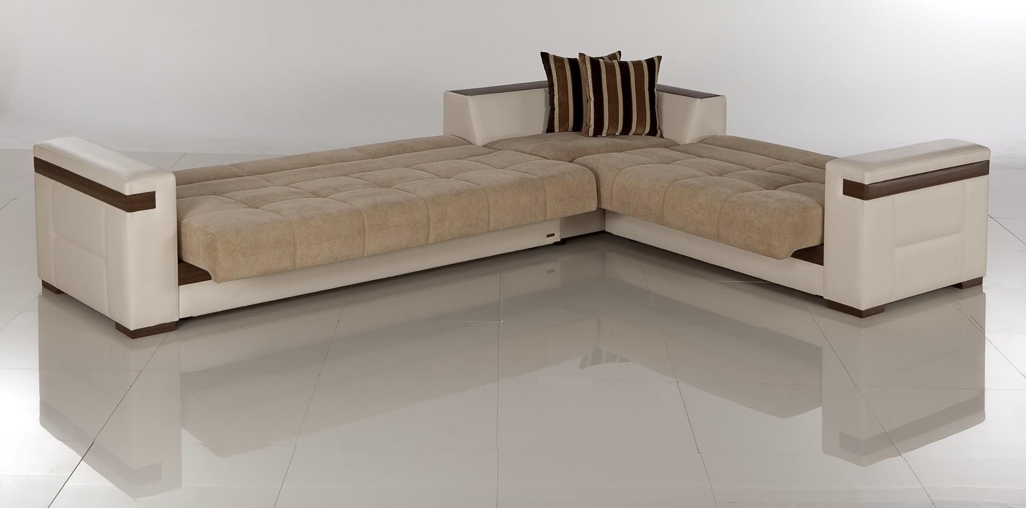 Furniture: Twin Sofa Sleeper | Costco Sofa Bed | Grey Sleeper In Sectional Sleepers (View 5 of 20)
