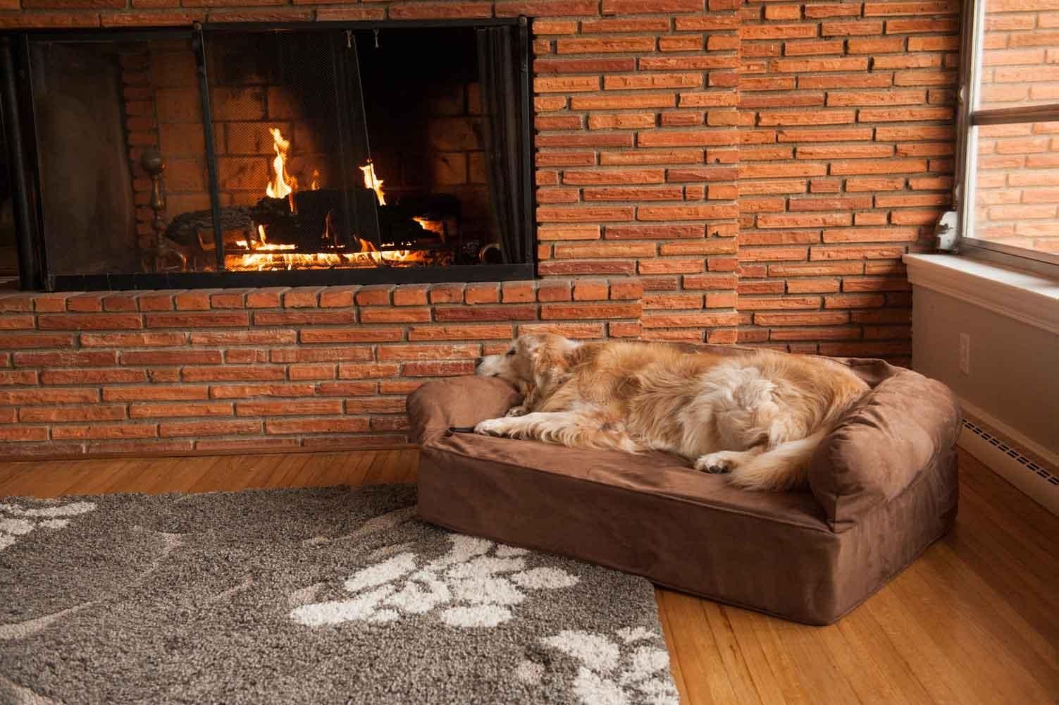 Snoozer Luxury Dog Sofa With Memory Foam | Pet Couch Intended For Snoozer Luxury Dog Sofas (View 10 of 20)