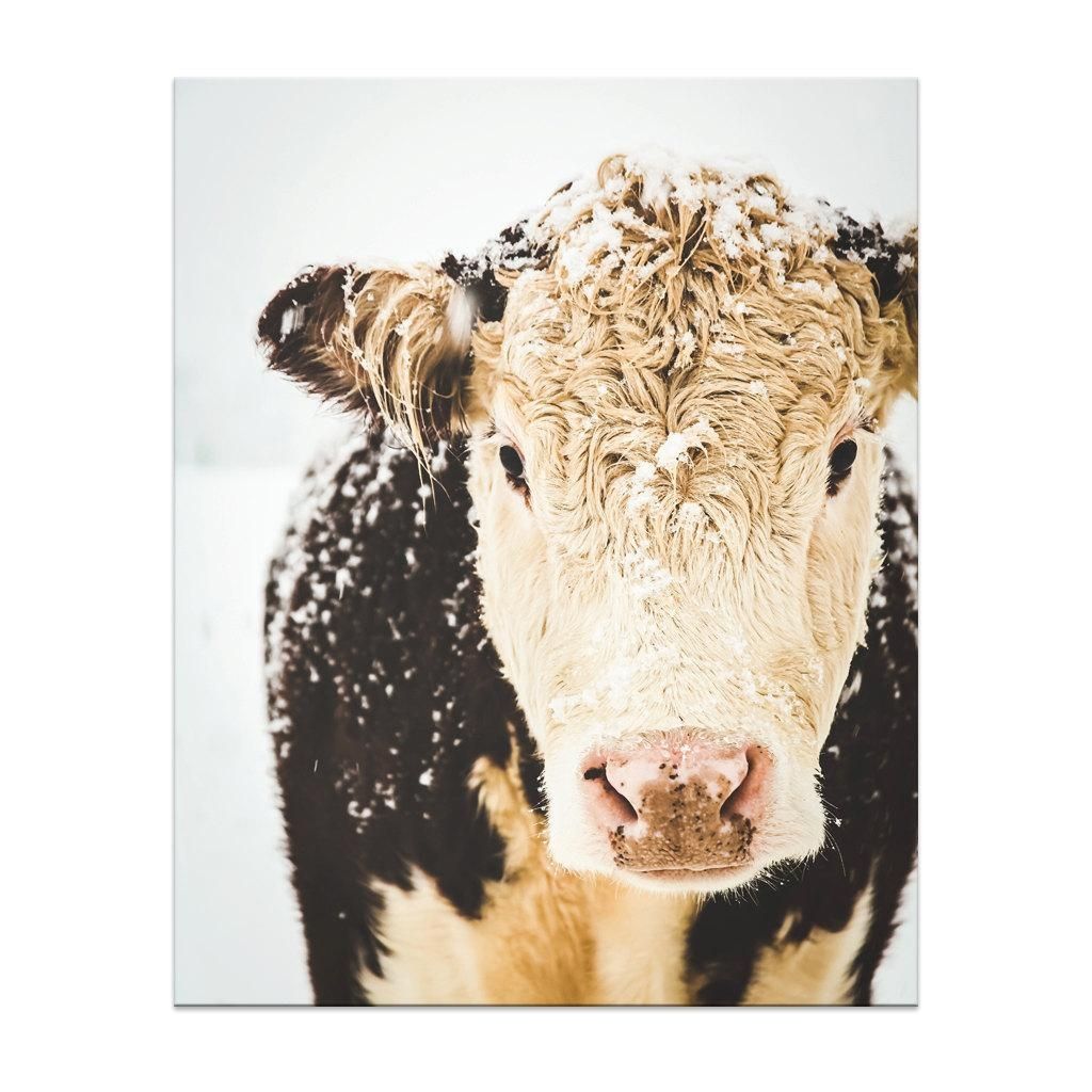 Cow Print Cow Art French Country Decor Farmhouse Print Regarding French Country Wall Art Prints (Photo 1 of 20)