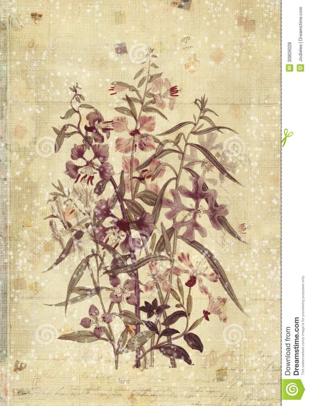 Flowers Botanical Vintage Style Wall Art With Textured Background Within Vintage Style Wall Art (View 5 of 20)