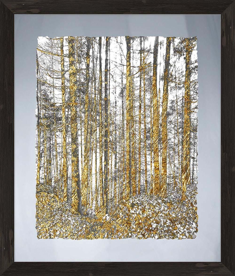 Gold Tree Glass Wall Art Framed – Ptmimages Within Modern Glass Wall Art (View 3 of 20)