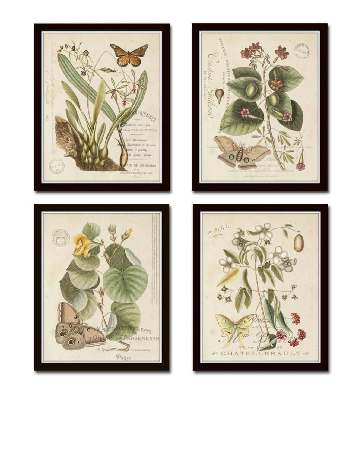 Vintage Butterfly And Botanical Print Set No.1 Giclee With Regard To Botanical Prints Etsy (Photo 1 of 20)