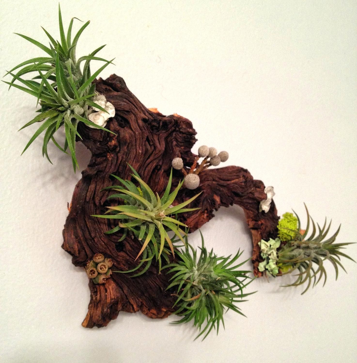 Articles With Plant Wall Art Diy Tag: Plant Wall Art. In Air Plant Wall Art (Photo 13 of 20)