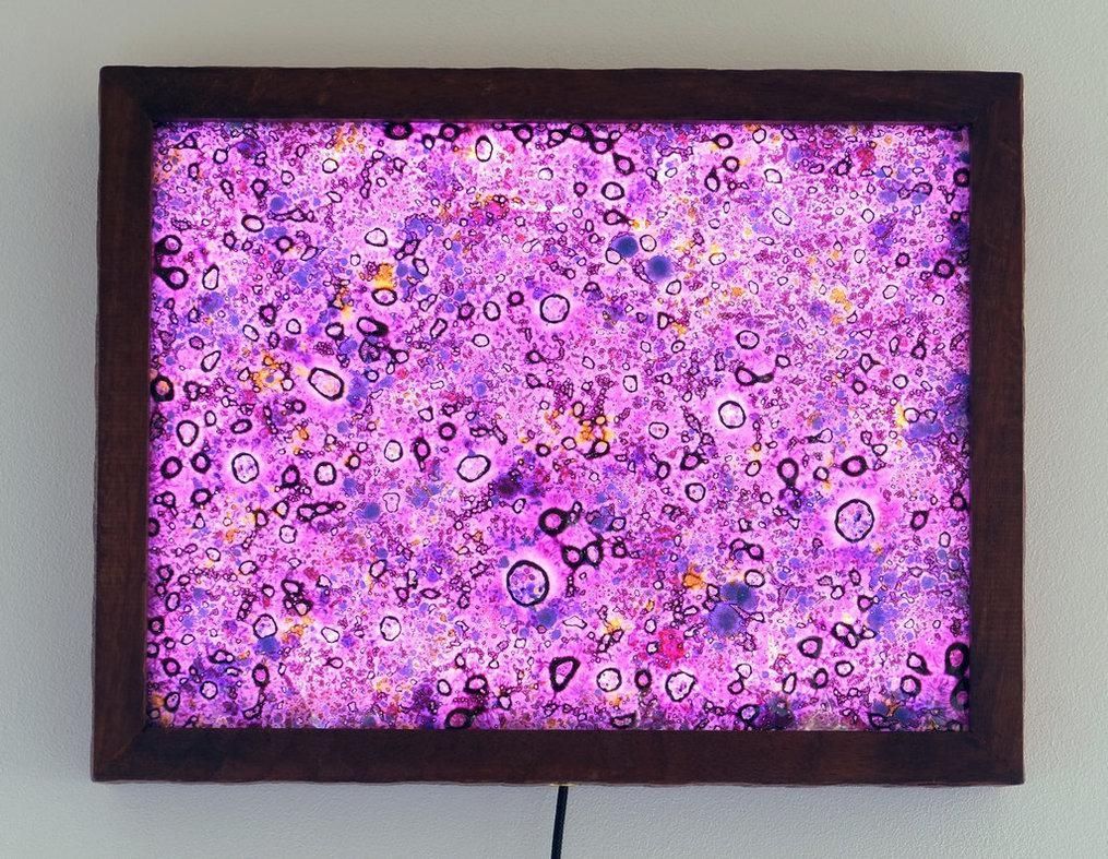Framed Fused Glass Wall Art (View 5 of 20)
