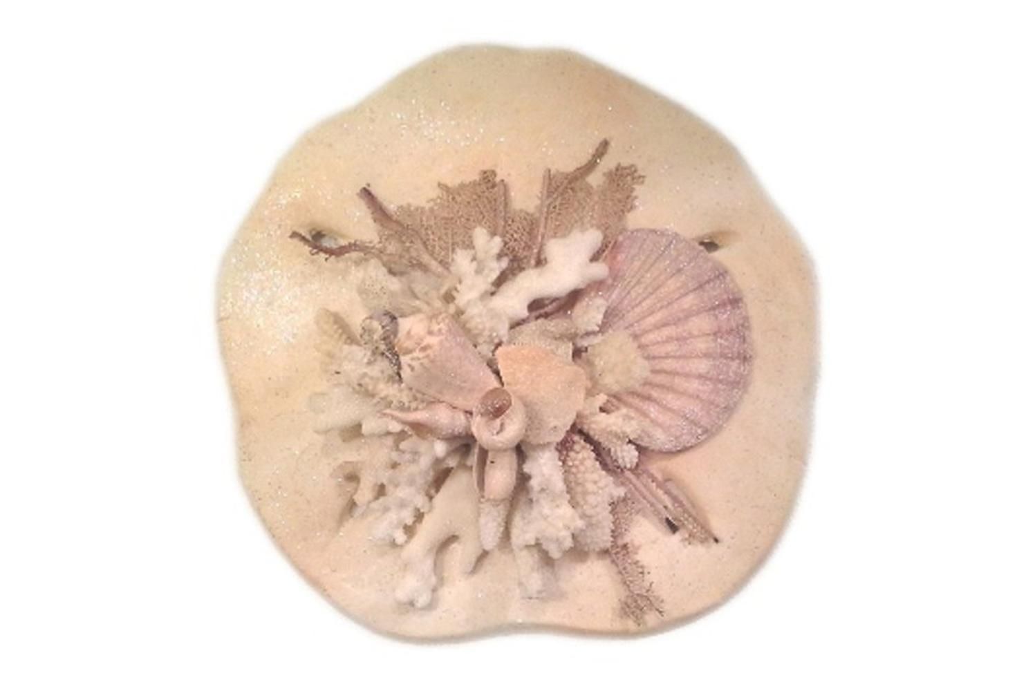Sand Dollar Wall Art | Omero Home With Sand Dollar Wall Art (View 13 of 20)