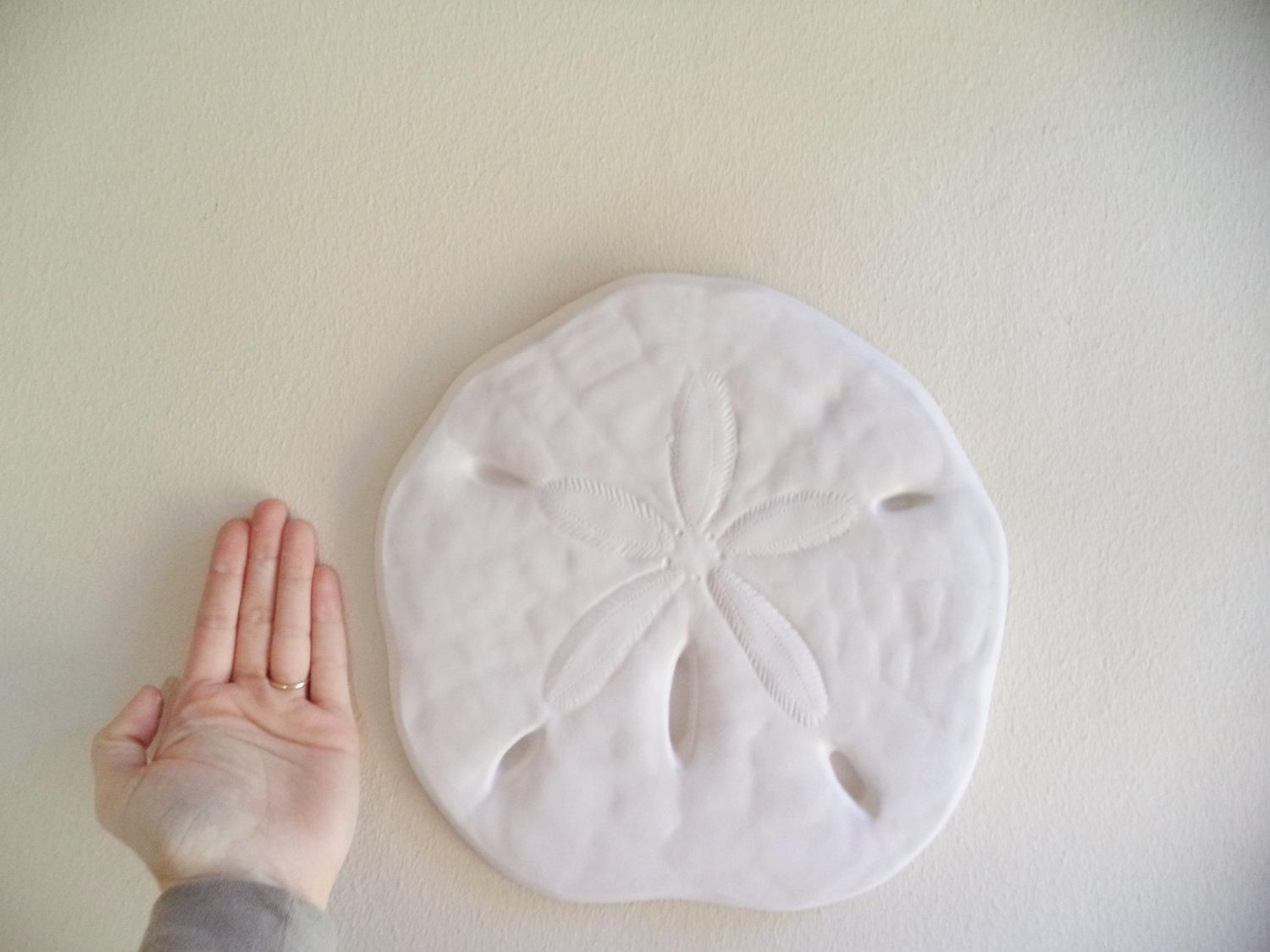 Sand Dollar Wall Hanging Sculpture Sea Shell Beach Decor Pertaining To Sand Dollar Wall Art (View 11 of 20)