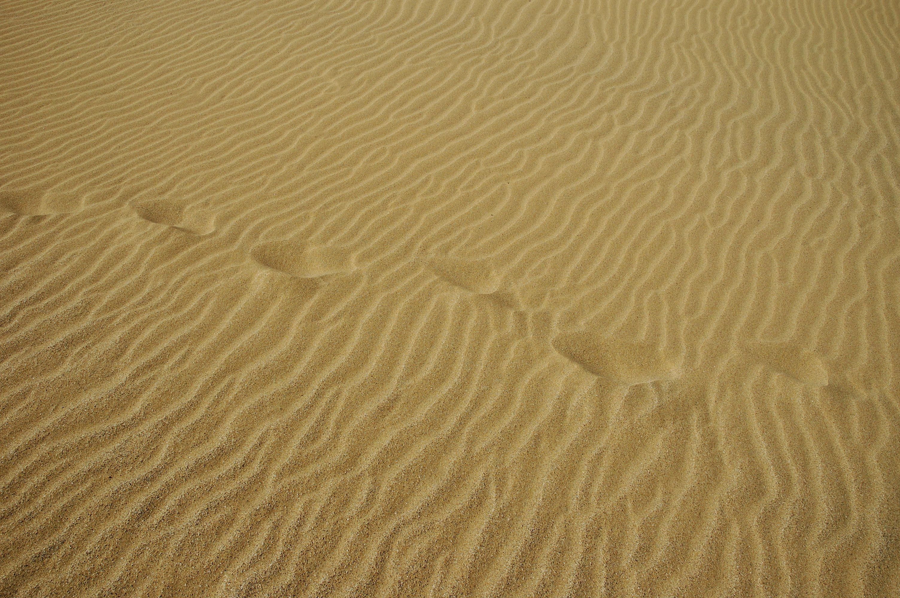 Sand Swirls Cliparts | Free Download Clip Art | Free Clip Art | On Within Footprints In The Sand Wall Art (Photo 15 of 20)