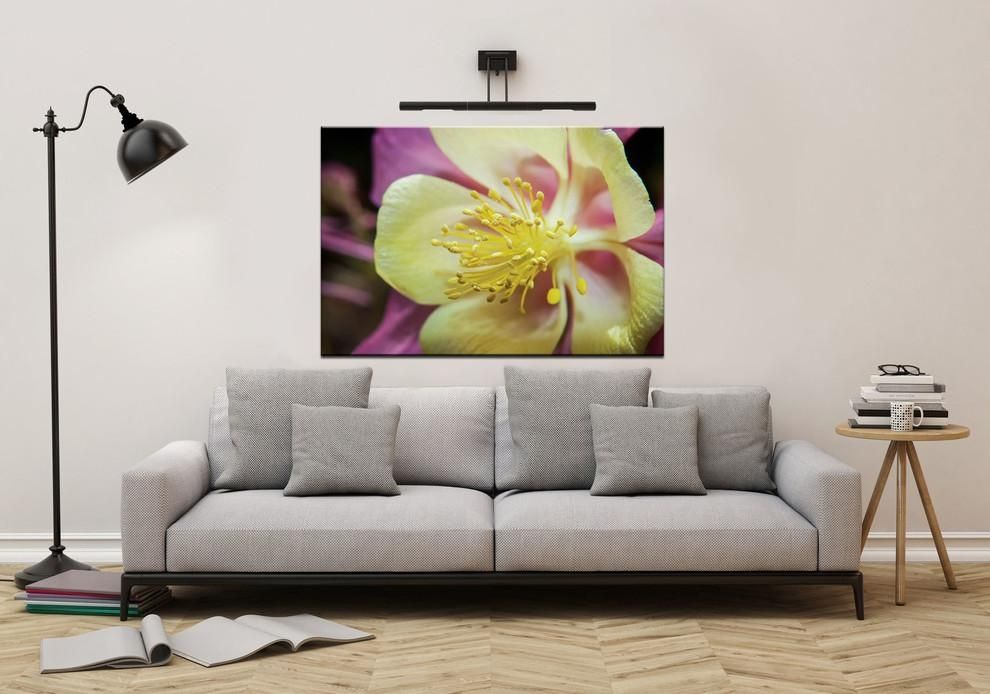 Photography Gallery Ideas Spaces Traditional With Wall Art Limited For Limited Edition Canvas Wall Art (Photo 8 of 20)