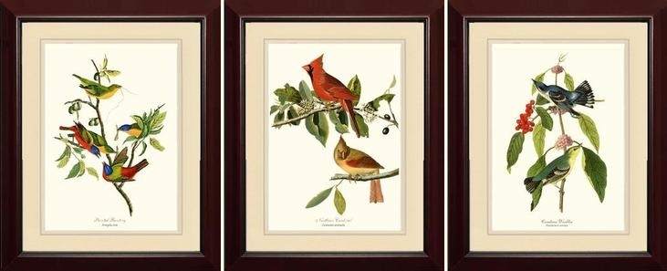 Featured Photo of  Best 15+ of Birds Framed Art Prints