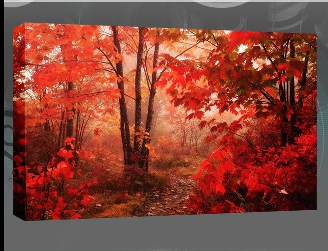 Canvas Wall Art Uk Red Leaves Of The Autumn Forest Single Canvas Intended For Canvas Wall Art In Red (View 6 of 15)