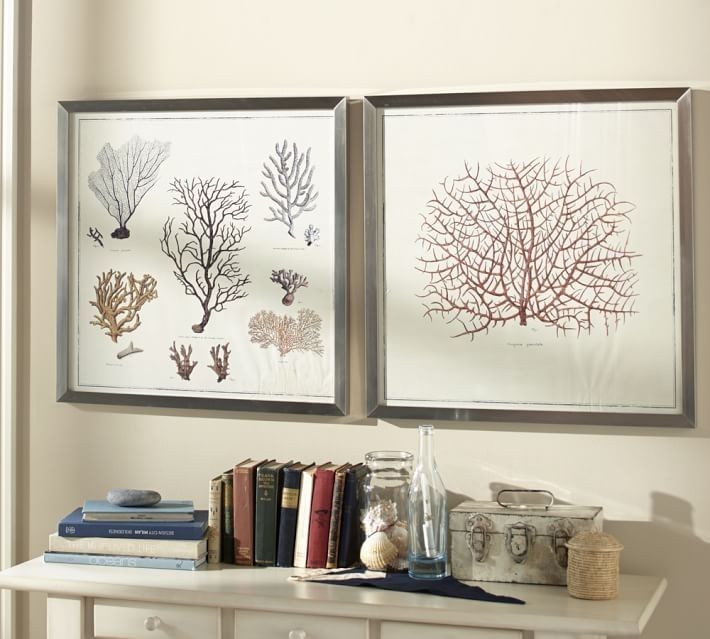 Framed Coral Prints | Pottery Barn Regarding Framed Coral Art Prints (View 10 of 15)