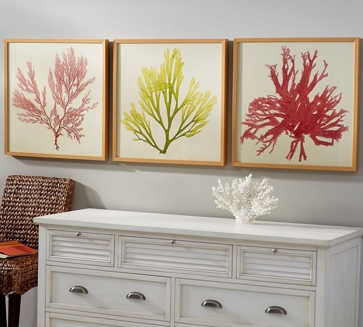 Framed Coral Prints | Pottery Barn Throughout Framed Coral Art Prints (View 4 of 15)