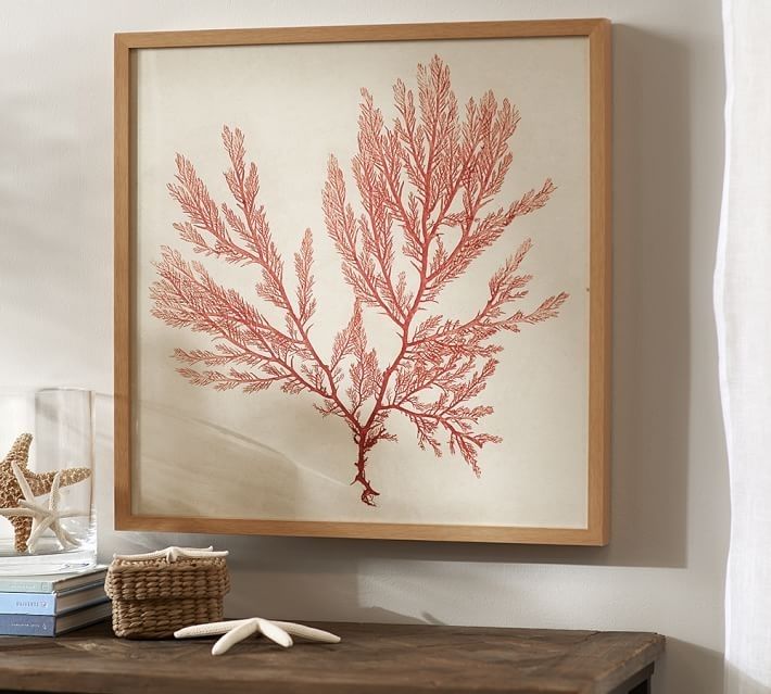 Framed Coral Prints | Pottery Barn With Regard To Framed Coral Art Prints (View 7 of 15)