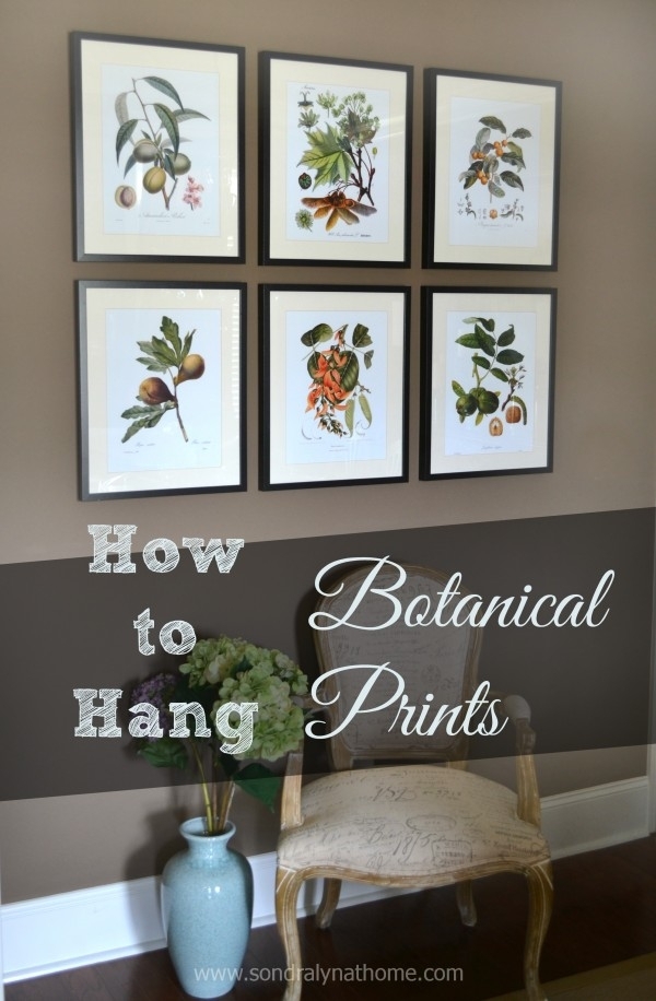 How To Hang Botanical Prints | Prints, Walls And Decorating Intended For Framed Botanical Art Prints (Photo 1 of 15)