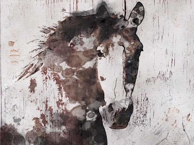 Majestic Horse Picture Prints Roman I Fine Art Print Running Throughout Horses Canvas Wall Art (Photo 10 of 15)