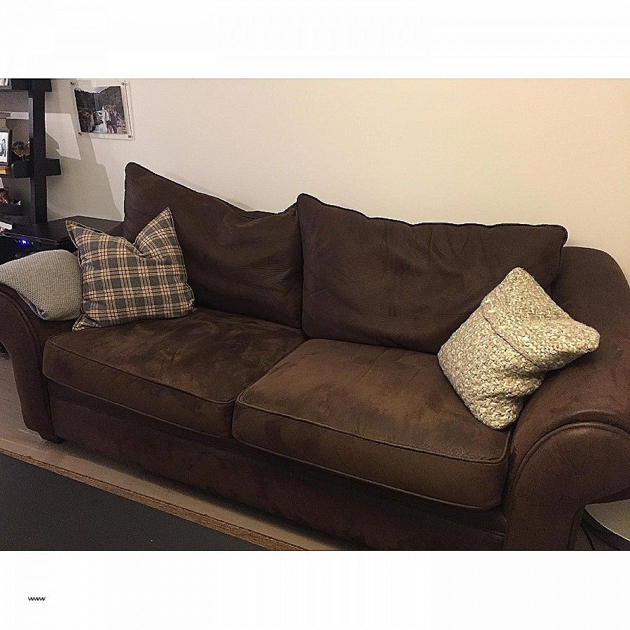 Sears Home Sleeper Sofa – 100 Images – Attractive Memory Foam With Sears Sofas (View 7 of 10)