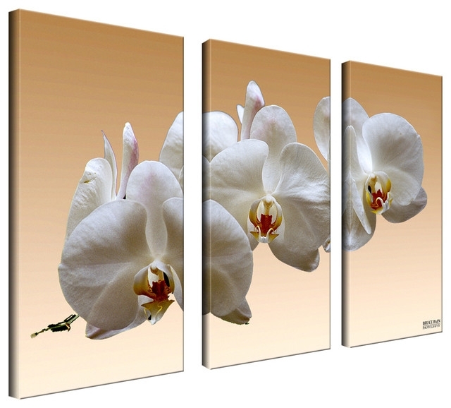 Wall Art Design: 3 Pc Canvas Wall Art Amazing Design Collection With Regard To Orchid Canvas Wall Art (Photo 1 of 15)