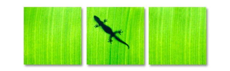Banana Leaf Gecko Centered Https://www.greatbigphotos/product With Gecko Canvas Wall Art (Photo 13 of 20)