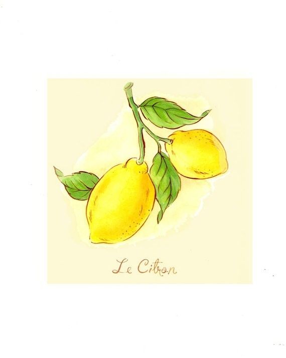 Best Of Lemon Wall Art | About My Blog Intended For Lemon Wall Art (View 8 of 20)