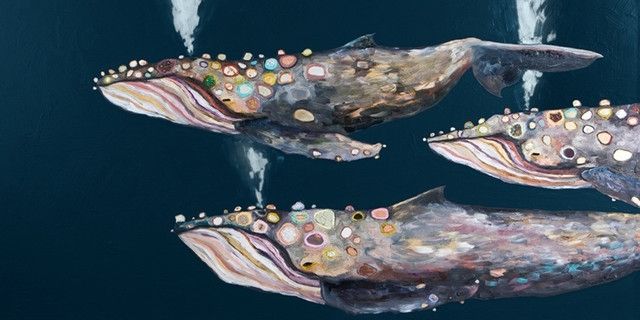 Humpback Whale Pod On Indigo" Canvas Wall Arteli Halpin – Beach Intended For Whale Canvas Wall Art (View 13 of 25)