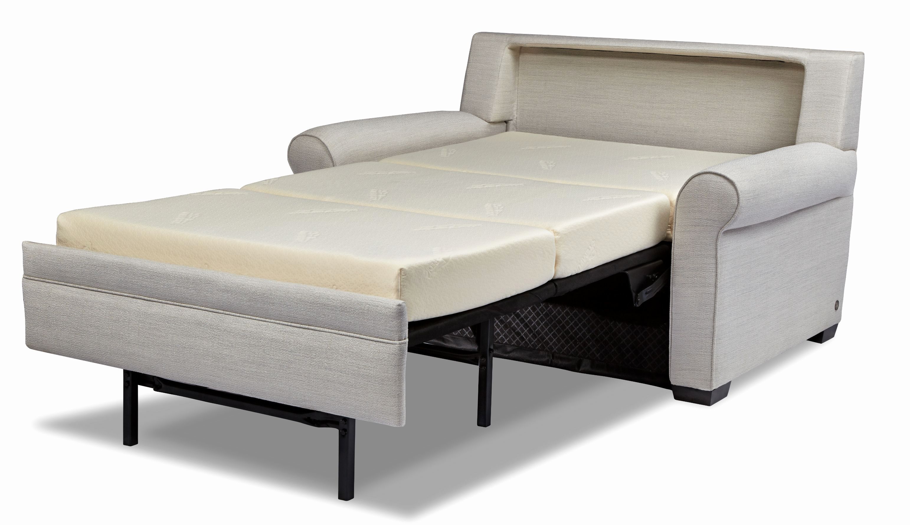 Elegant Comfortable Sleeper Sofas Pics Comfortable Sleeper Sofas Throughout Gina Grey Leather Sofa Chairs (View 14 of 25)