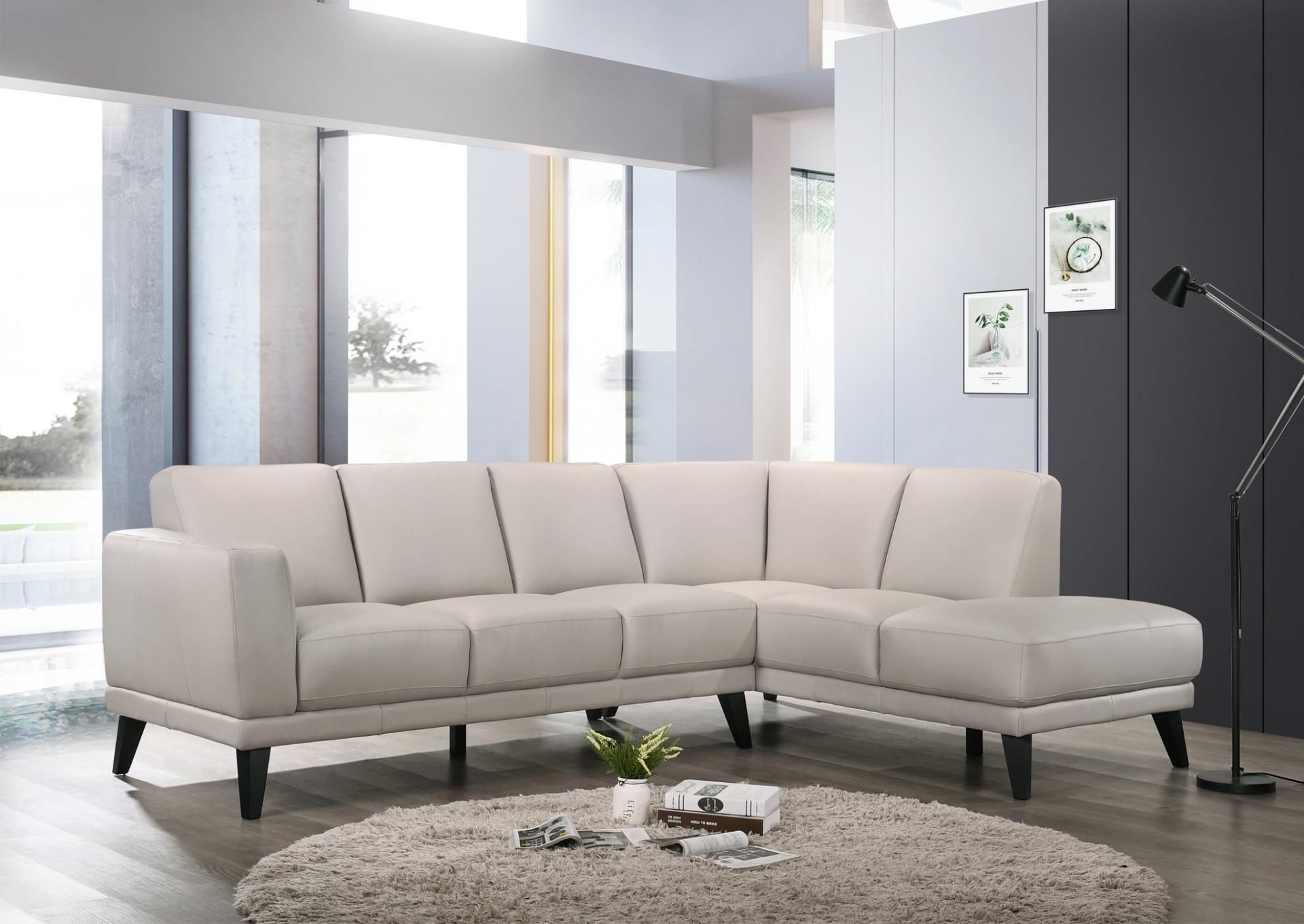 Altimura Gray Mist 2Pc 100 Percent Top Grain Leather Sofa With [%Matilda 100% Top Grain Leather Chaise Sectional Sofas|Matilda 100% Top Grain Leather Chaise Sectional Sofas%] (View 8 of 15)