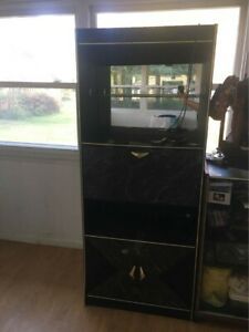 Black Tv Stand/Showcase With Light Up Display (Second One Pertaining To Recent Tv Stands Fwith Tv Mount Silver/Black (View 9 of 15)
