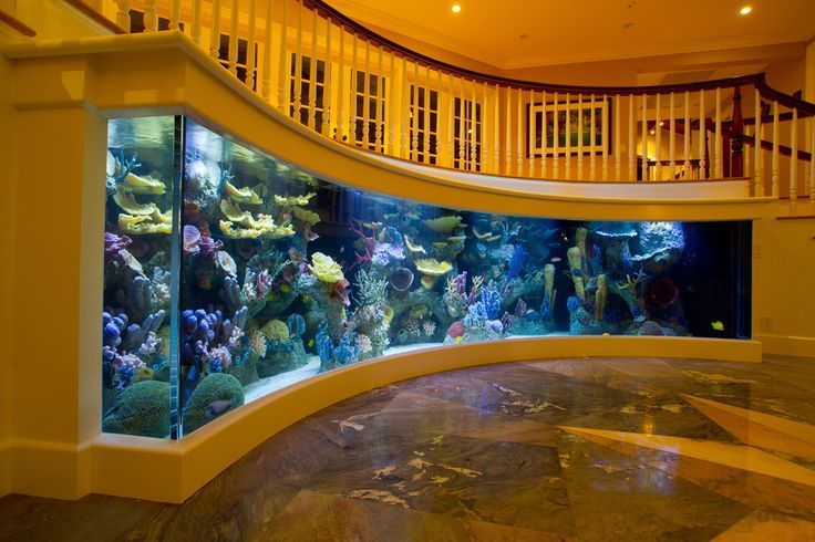 Aquarium Wall | Aquarium Design, Home Look, Home Aquarium Pertaining To Aquarium Wall Art (View 9 of 15)