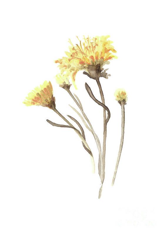 Aster Yellow Flower Abstract Art Print, Asters Watercolor Painting For Yellow Bloom Wall Art (View 15 of 15)
