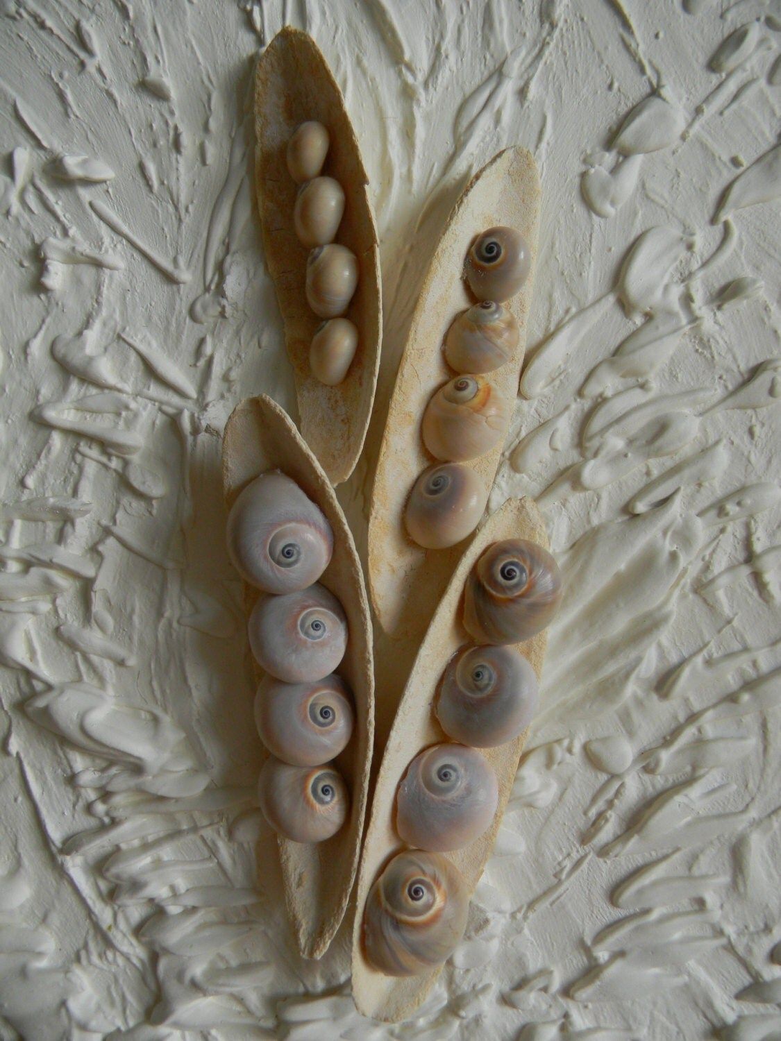 Beach Wall Art.sea Shells Home Decor (View 3 of 15)