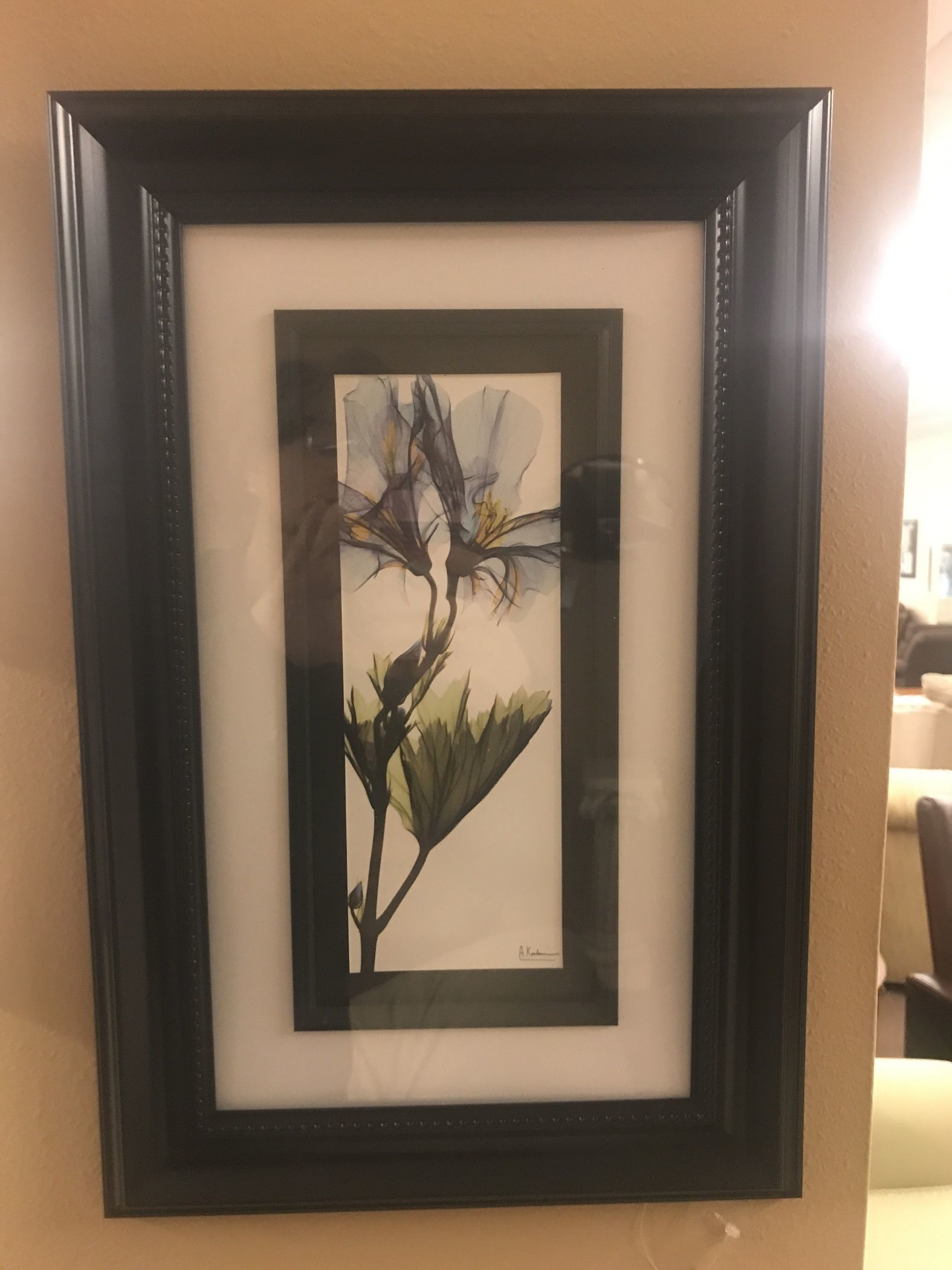 Black Framed Floral Wall Art | Delmarva Furniture Consignment For Matte Blackwall Art (View 5 of 15)
