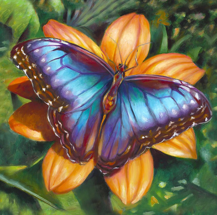 Blue Morpho Butterfly Paintingnancy Tilles Regarding Blue Morpho Wall Art (View 8 of 15)