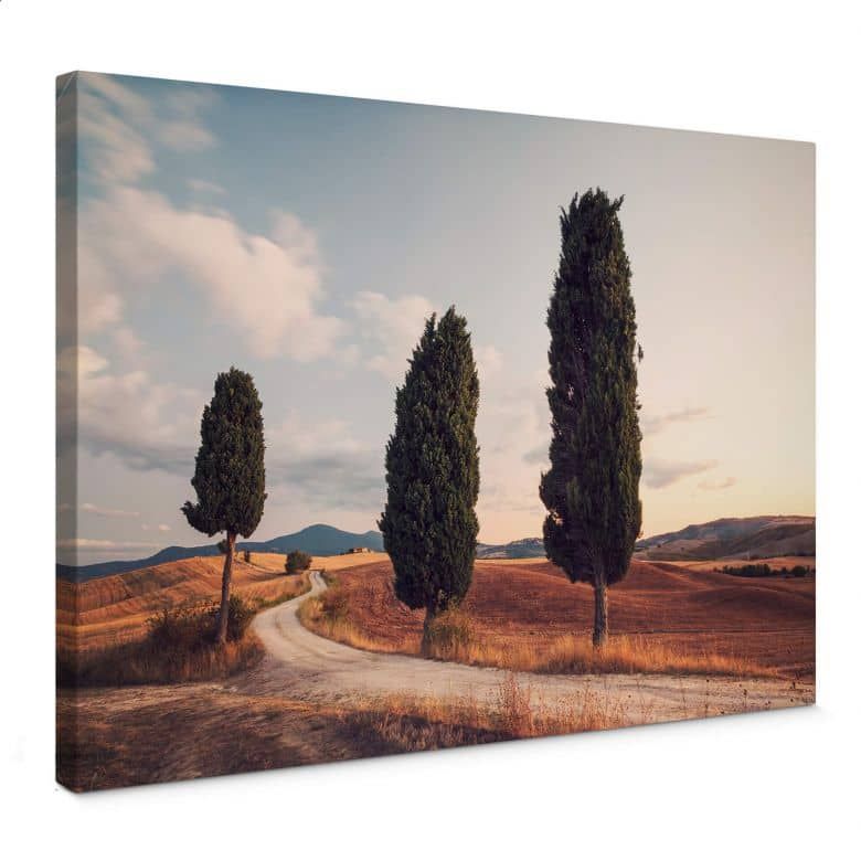 Canvas Print Colombo – Cypress Trees | Wall Art For Cypress Wall Art (View 3 of 15)