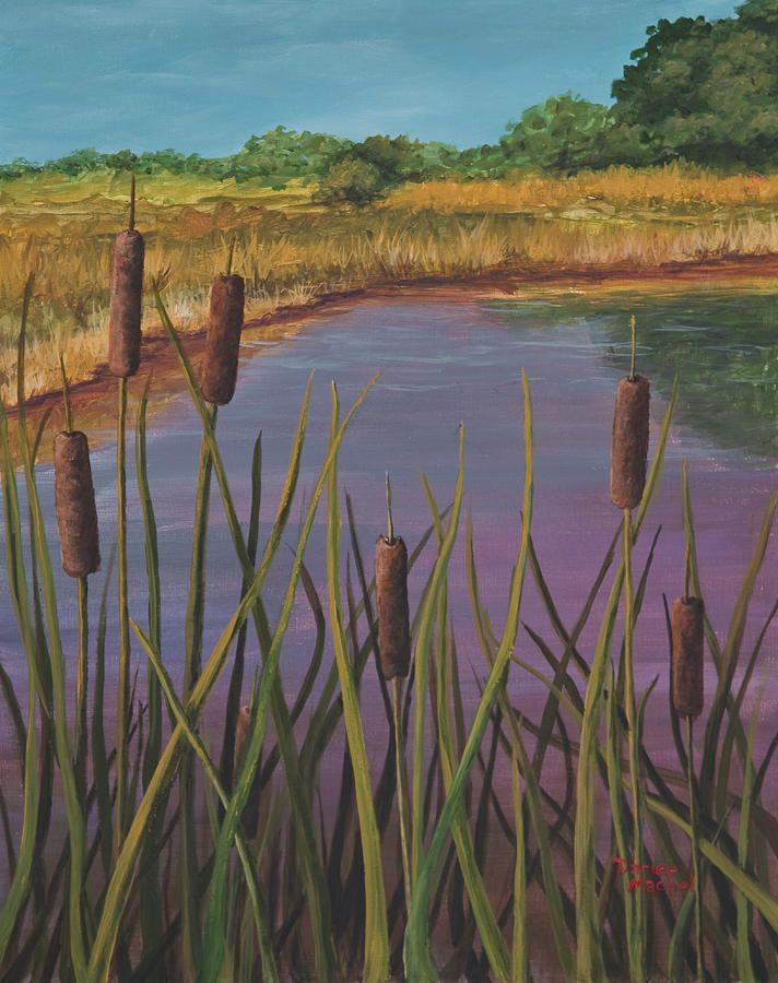 Cattails Paintingdarice Machel Mcguire Throughout Cattails Wall Art (View 11 of 15)