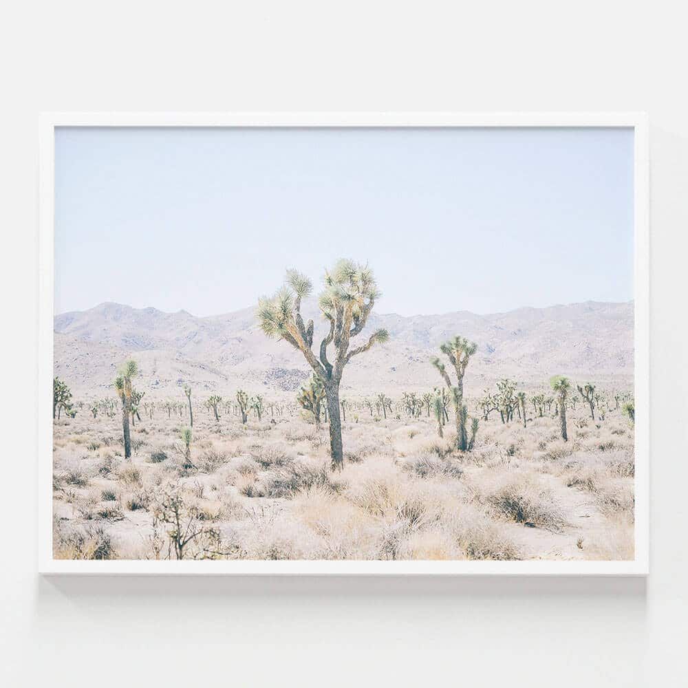 Desert Plain | Wall Art Poster Or Framed Print | 41 Orchard With Desert Palms Wall Art (View 14 of 15)