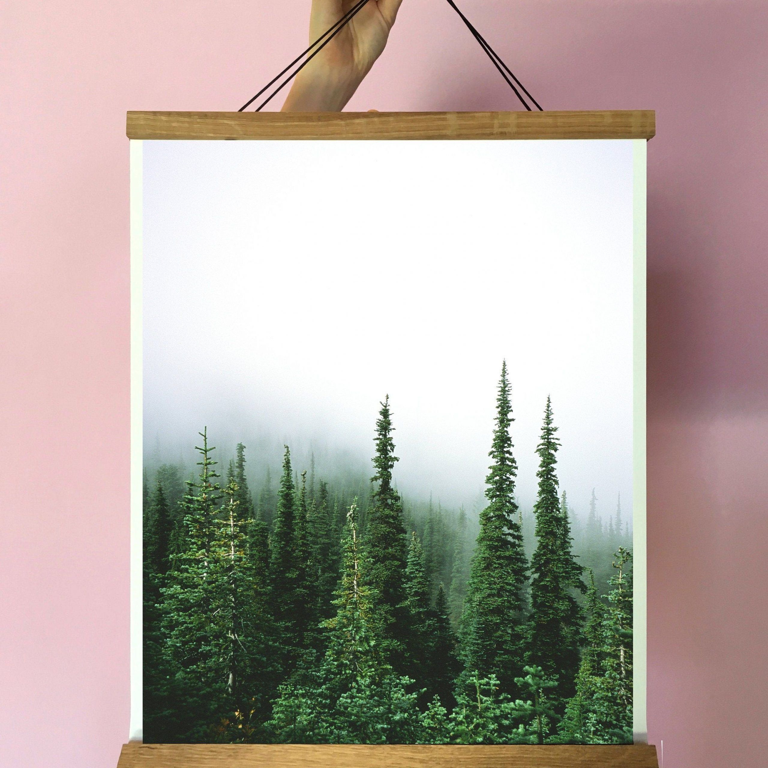 Forest Art Print.wall Decor.several Sizes.pacific Northwest.trees (View 3 of 15)